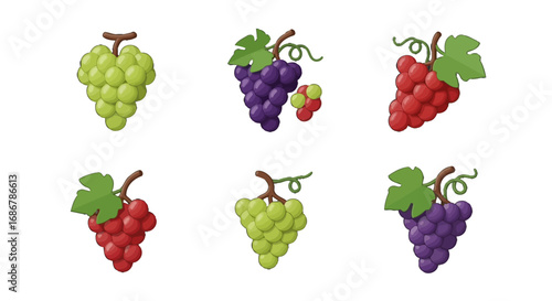 Grape bunch vector icon set with green purple and red varieties