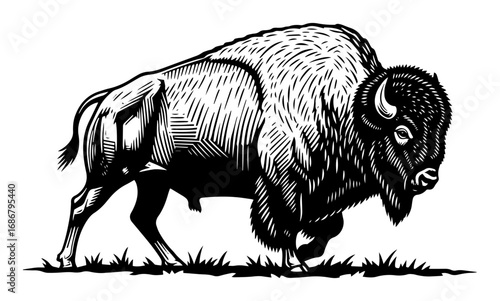 American bison vector – powerful buffalo standing on prairie, classic Western wildlife illustration