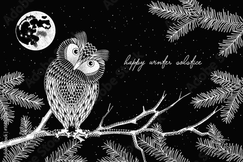 Hand Drawn Winter Solstice Illustration with Moon and Owl