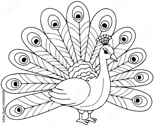 Peacock line art illustration for coloring book