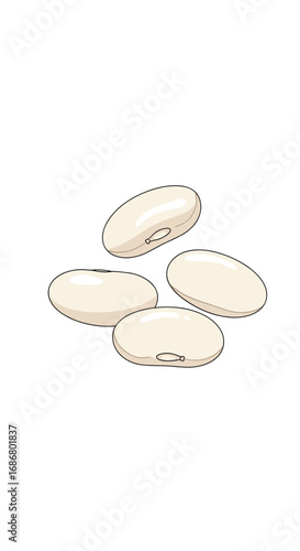 A cluster of pale white lima beans showing their distinctive kidney shape on a clean background