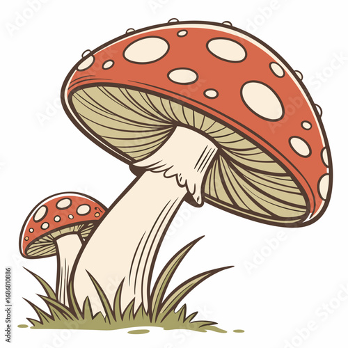 Pair of Stylized Fly Agaric Mushrooms with Red Caps and White Spots in Grass toadstool fungus