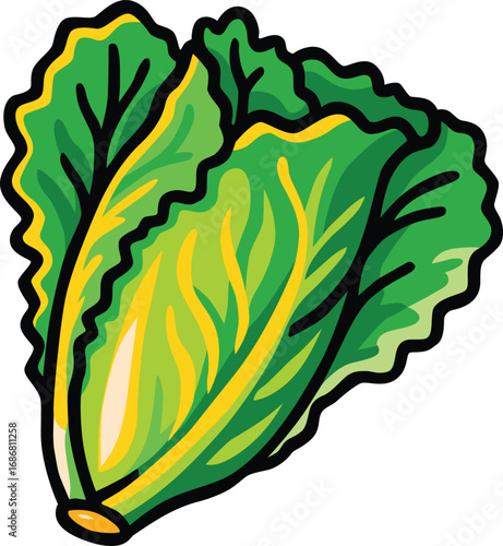 Fresh green lettuce with crisp leaves, perfect for salads, healthy meals, and vegetarian food themes. Ideal for concepts of organic farming, nutrition, freshness, and natural lifestyle