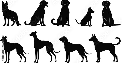 Black silhouette various dog breeds in side profile view showing distinct shapes and sizes isolated on white background animal illustration