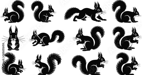 Set of cute squirrel silhouette illustrations in various poses, perfect for wildlife, nature design, animal vector art, and cartoon-style decorations.