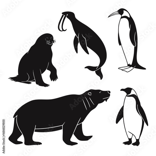 Arctic animals polar bear penguin seal walrus vector