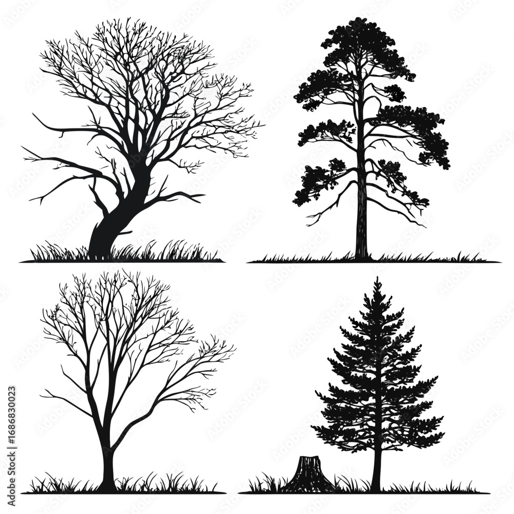 Obraz premium Bare trees pine trees grass stump silhouettes tree silhouette evergreen