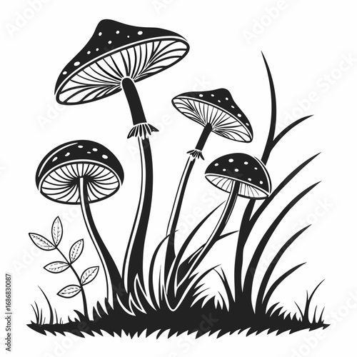Black and white forest fungi with leaves and grass mushroom nature