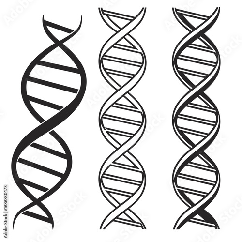 Black D N A helix silhouettes twisted and straight molecule biology
