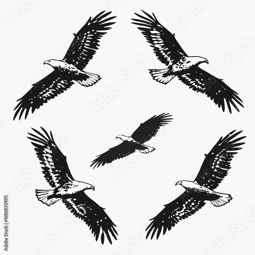 Black eagles in flight artistic depiction bird birds