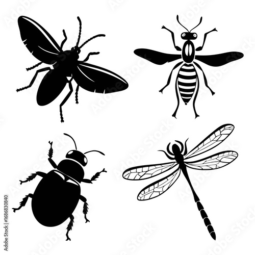 Black insect silhouettes flying and crawling on white vector