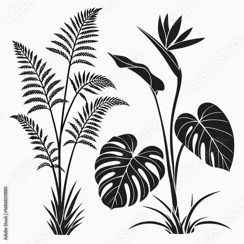 Black jungle flora silhouettes fern monstera bird of paradise tropical
