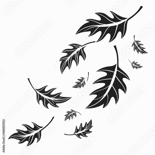 Black oak leaves falling in motion autumn