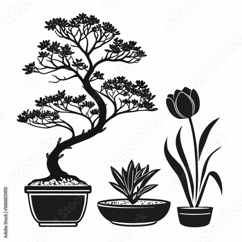 Black silhouettes of bonsai tree succulent and tulip in pots flower