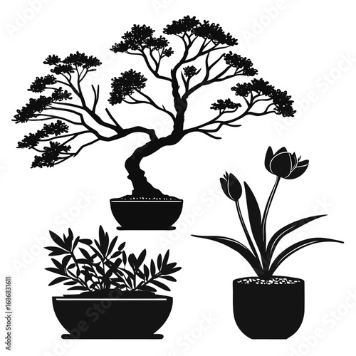 Black silhouettes of potted bonsai tulips and foliage tree potted plant