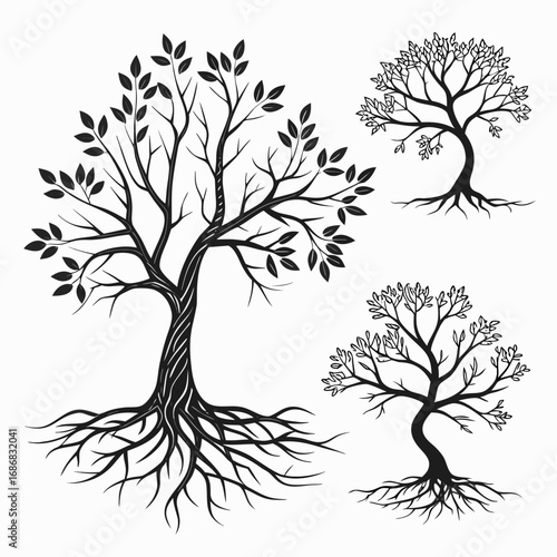 Black tree silhouettes with roots and branches leaves
