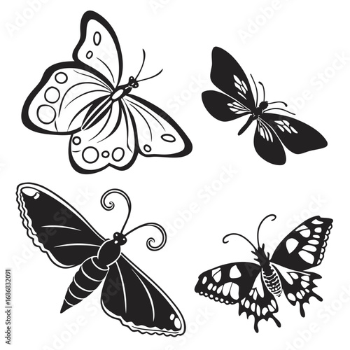 Black white butterfly moth silhouettes detailed wing patterns vector