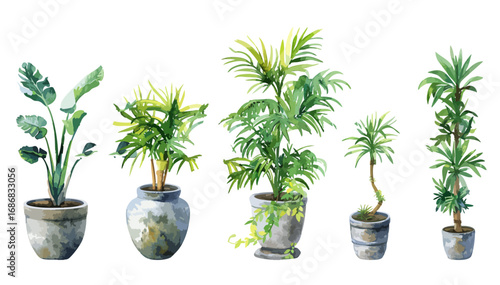Collection Of Lush Green Indoor Plants In Various Grey Planters On A White Background