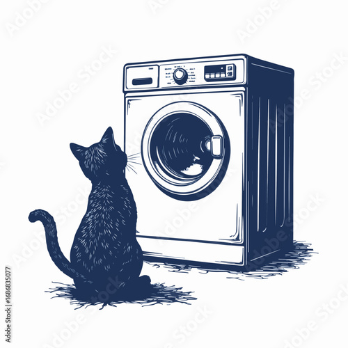 Cat watching washing machine with curious expression at home. Domestic cat observes front-loading washer while light illuminates its fur.