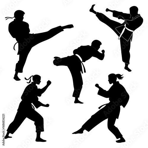 Martial artists in dynamic action poses martial arts karate