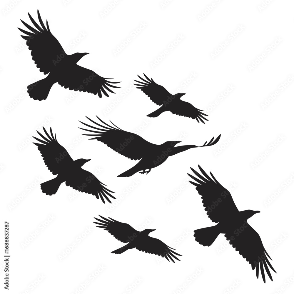Obraz premium Seven black birds soaring in flight flying silhouette