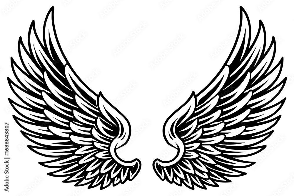 Fototapeta premium Vector Illustration of Detailed Angel Wings Line Art