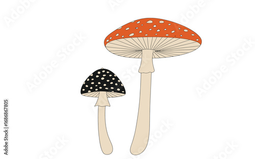 Two Colorful Mushrooms Red and Black Fungi Illustration Isolated on White Background Detailed Fungi Drawing