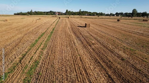 harvest time in countryside Lithuania