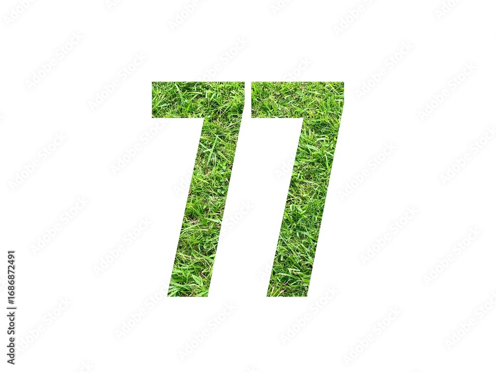Obraz premium Design number 77 with grass texture isolated on white background