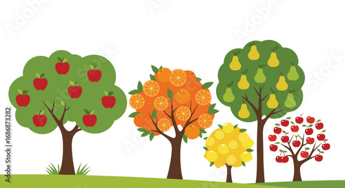 A colorful collection of various fruit bearing trees showcasing apples oranges pears and lemons in a garden setting