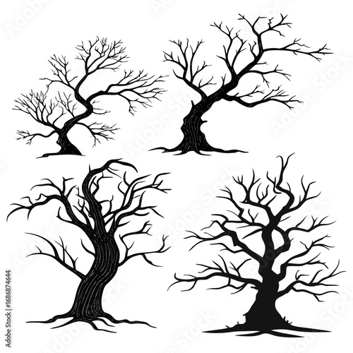 Spooky twisted bare trees spooky trees twisted branches