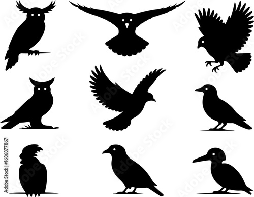 "Birds of Prey Silhouette Collection"