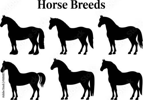 Horse Breeds Silhouette Collection" Vector Bundle