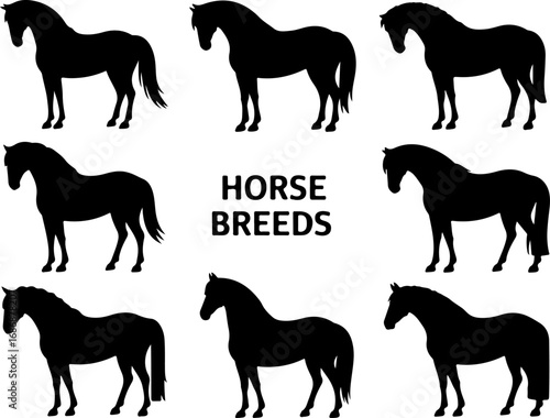 Horse Breeds Silhouette Collection" Vector Bundle