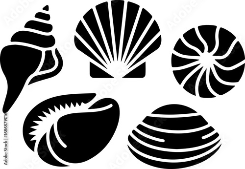 "Seashell Silhouette Collection" Vector Bundle