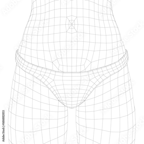 A female wireframe model wearing panties, showcasing anatomical structure with digital transparency and geometric lines.