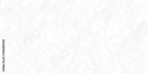 Topographic map and landscape terrain texture grid. Abstract white topography vector background, Vector geographic contour map.