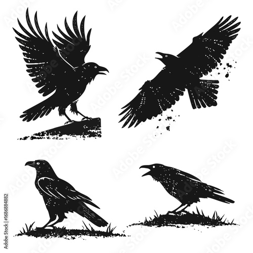Black birds flying and perched raven crow