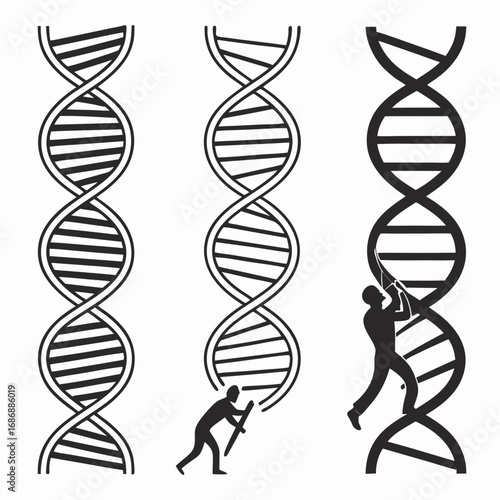 Black silhouettes of dna strands and people double helix