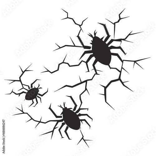 Black spider silhouettes with sharp jagged cracks white