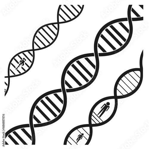 D N A helix silhouettes with human figures double helix