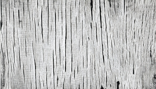 Black and white wooden texture background. Distressed Rough Wood Surface Pattern. Cracked wood texture.