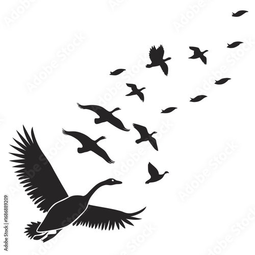 Flock of geese flying in formation birds migration