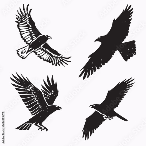 Four black eagles in flight bird flying