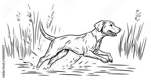 Running dog vector – happy hunting dog sprinting through tall grass, dynamic pet sketch