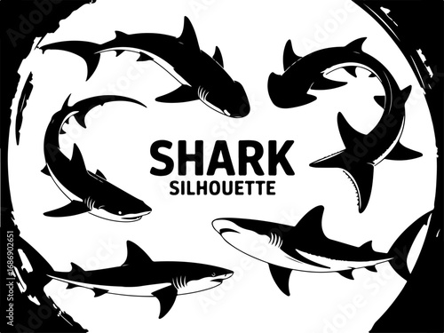 shark, shark silhouette, 
