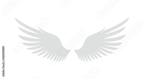 a pair of delicate white wings spread wide