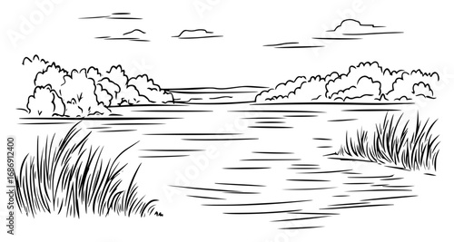 Lake reeds landscape vector – calm water with rushes and forest shoreline, peaceful nature sketch