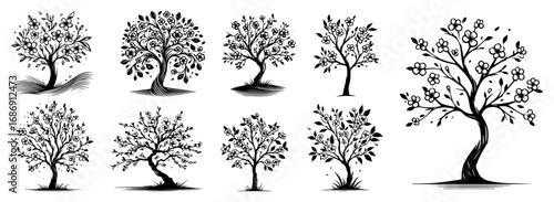 Tree variety set vector – nine hand-drawn orchard trees with blossoms and foliage, decorative collection
