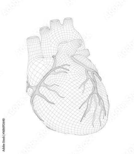 Human heart 3D wireframe model on white background, showcasing detailed anatomical structure with arteries and ventricles.